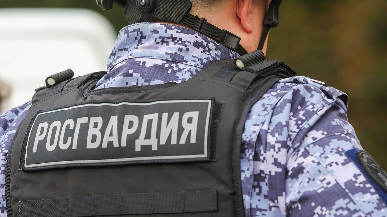Проститутки приятной внешности из российского города заговорили