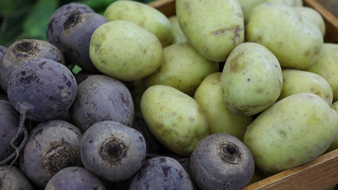 Экспорт российской сельхозпродукции в Китай резко вырос