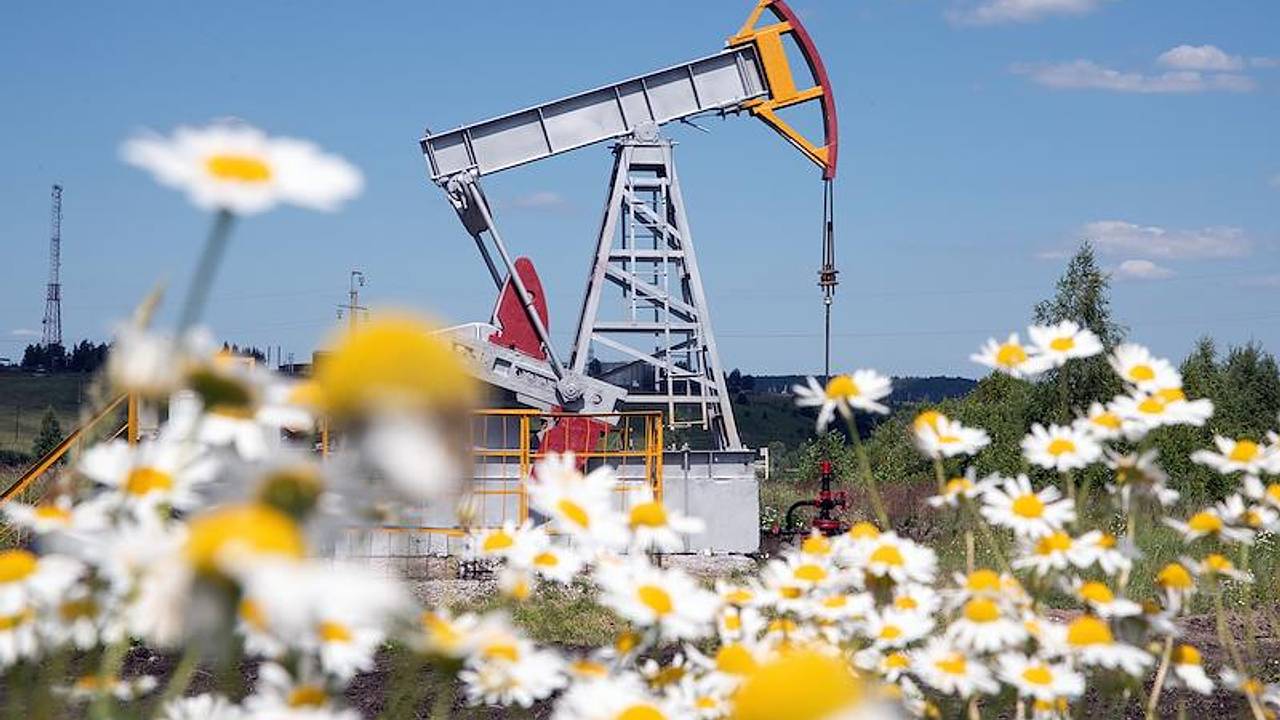 Россия осталась крупнейшим поставщиком нефти для двух стран БРИКС Россия осталась крупнейшим поставщиком нефти для двух стран БРИКС
