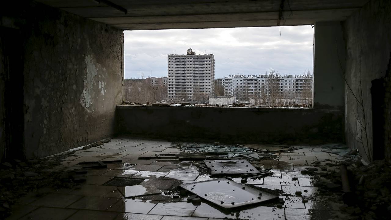 Ученый ответил на вопрос о мутантах в Чернобыльской зоне