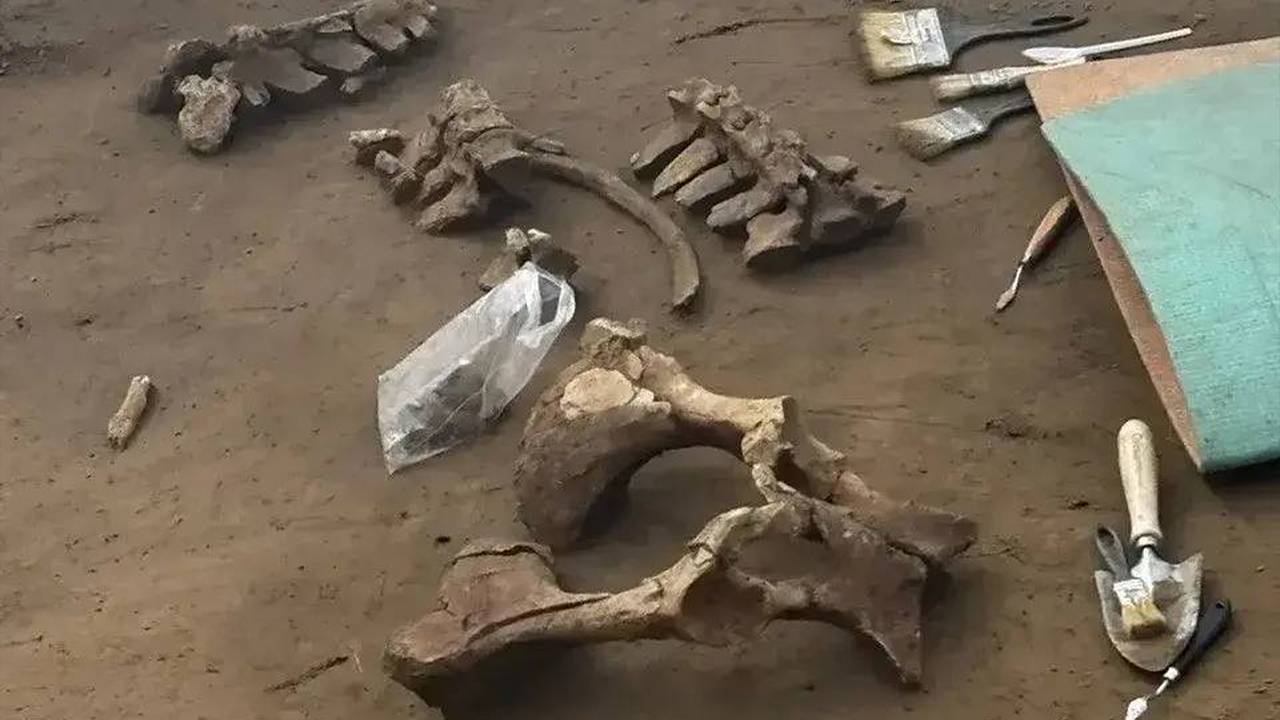 «Постояльца» из каменного века неожиданно нашли в монастыре России
