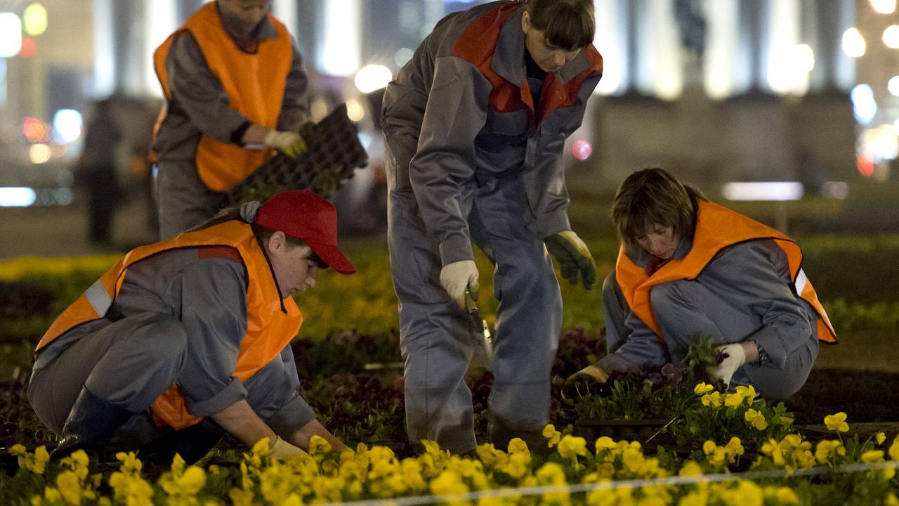 В Москве запланировали массовые посадки
