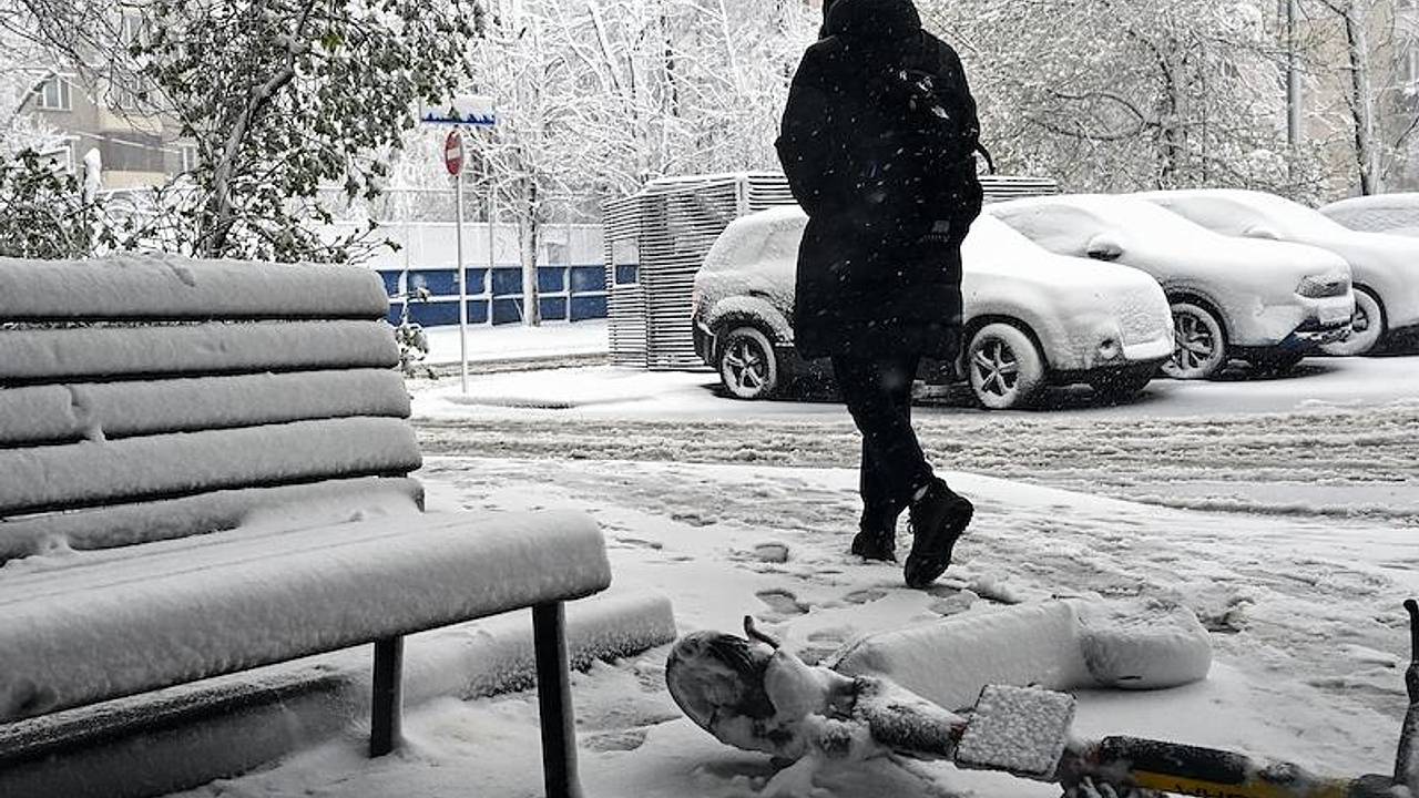 Названо количество пострадавших от стихии в Московском регионе