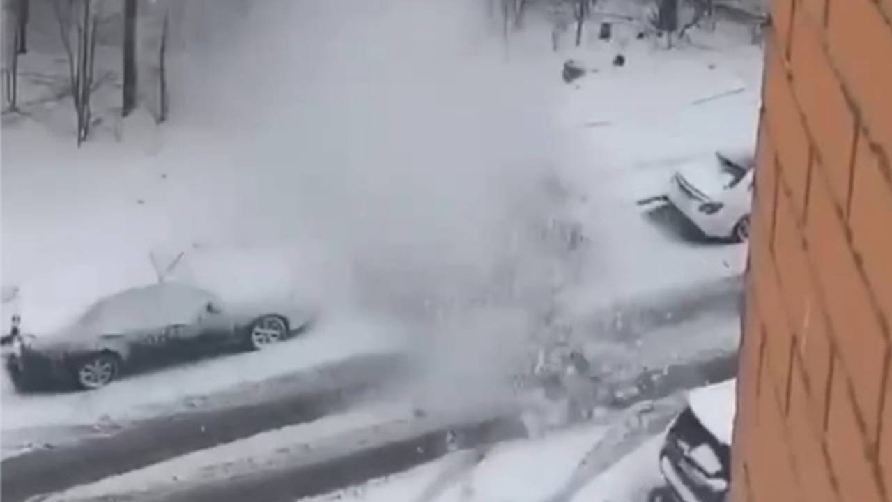 Сосна в Подмосковье упала на машину и попала на видео