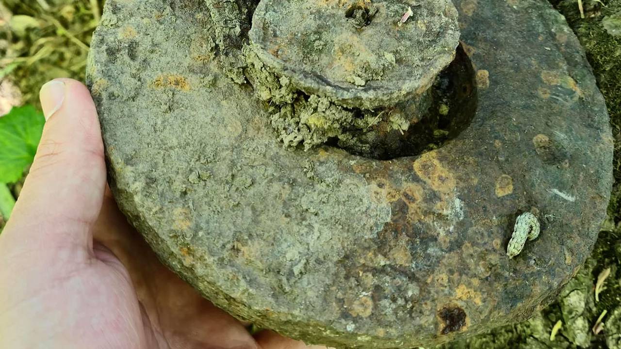 Мужчина выложил снимок лесной находки и получил совет немедленно вызвать саперов Мужчина выложил снимок лесной находки и получил совет немедленно вызвать саперов