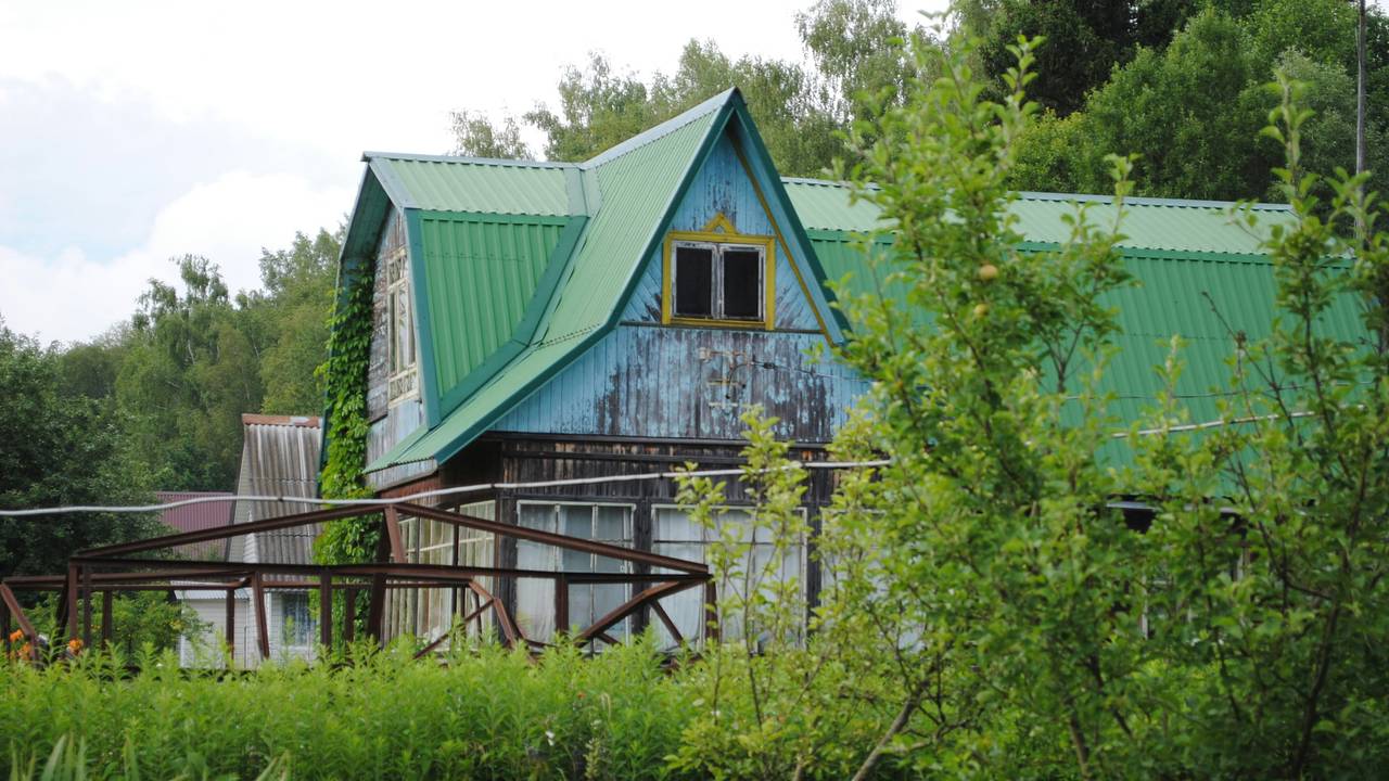 В России предупредили о главной опасности для дачников