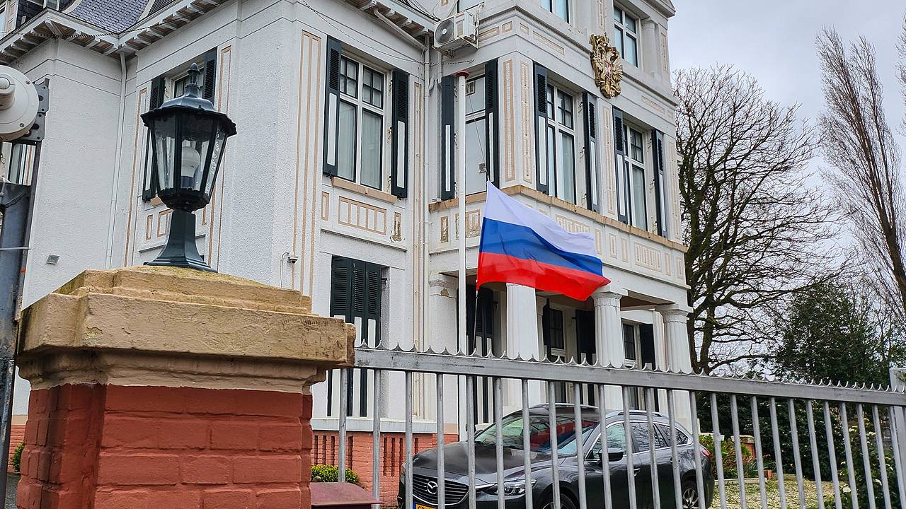 В МИД оценили нацистские выкрики украинцев в адрес участников «Бессмертного полка» в Гааге