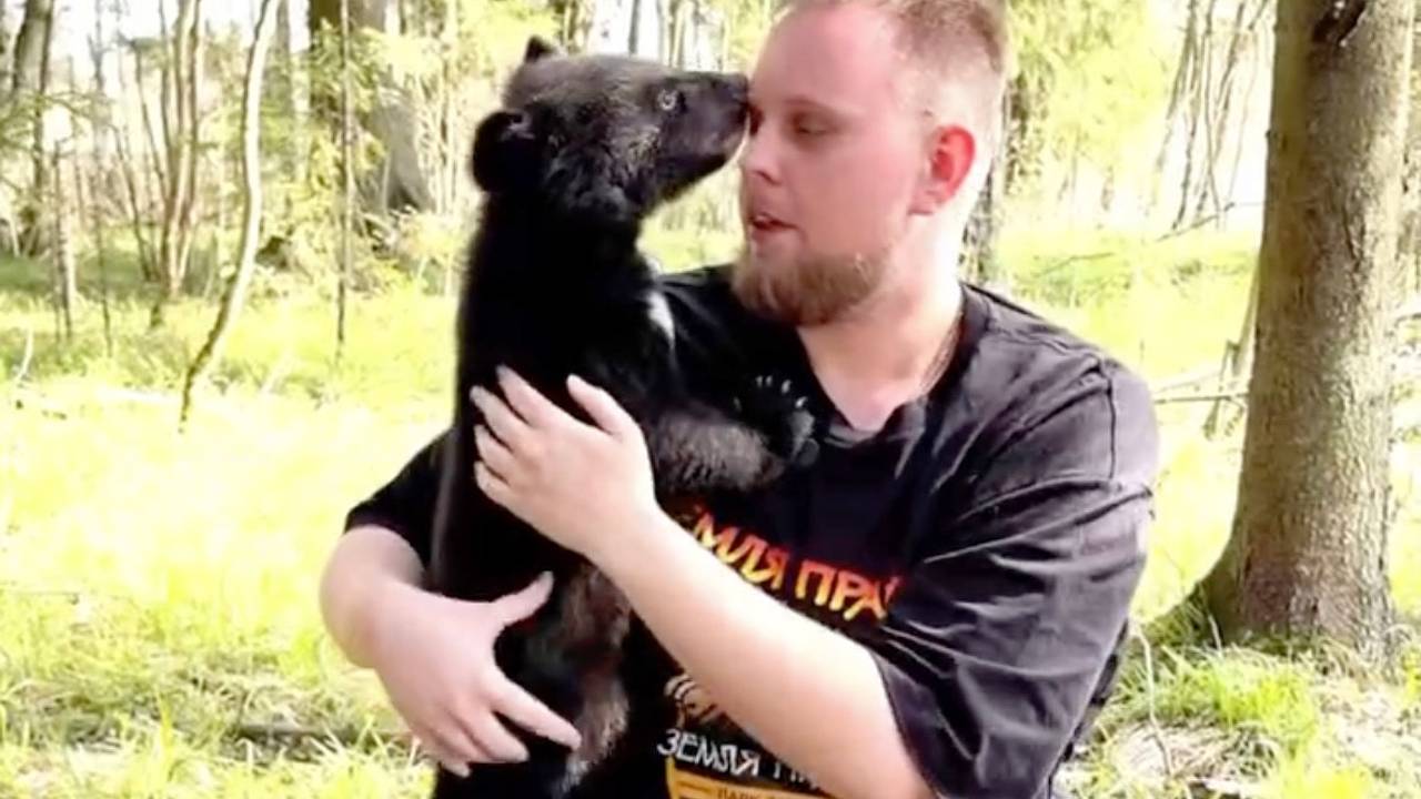 Стали известны подробности о спасенной медведице Дыньке и ее дружбе с Арбузиком