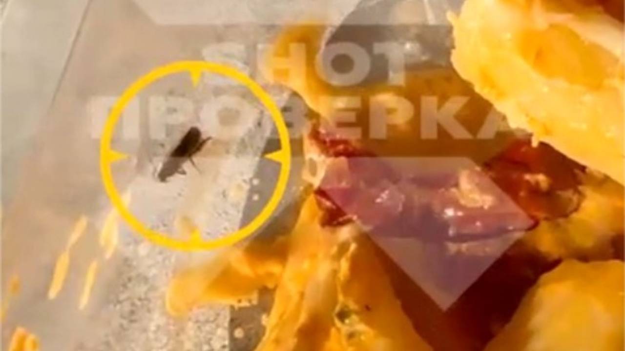 Россиянка нашла мертвого таракана в пасте из «ВкусВилла»