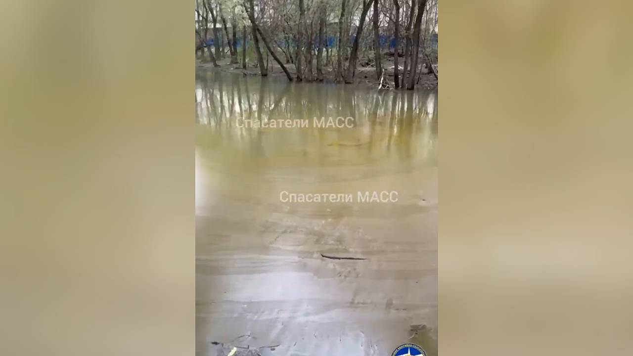 Река в российском городе наполнилась маслом Река в российском городе наполнилась маслом