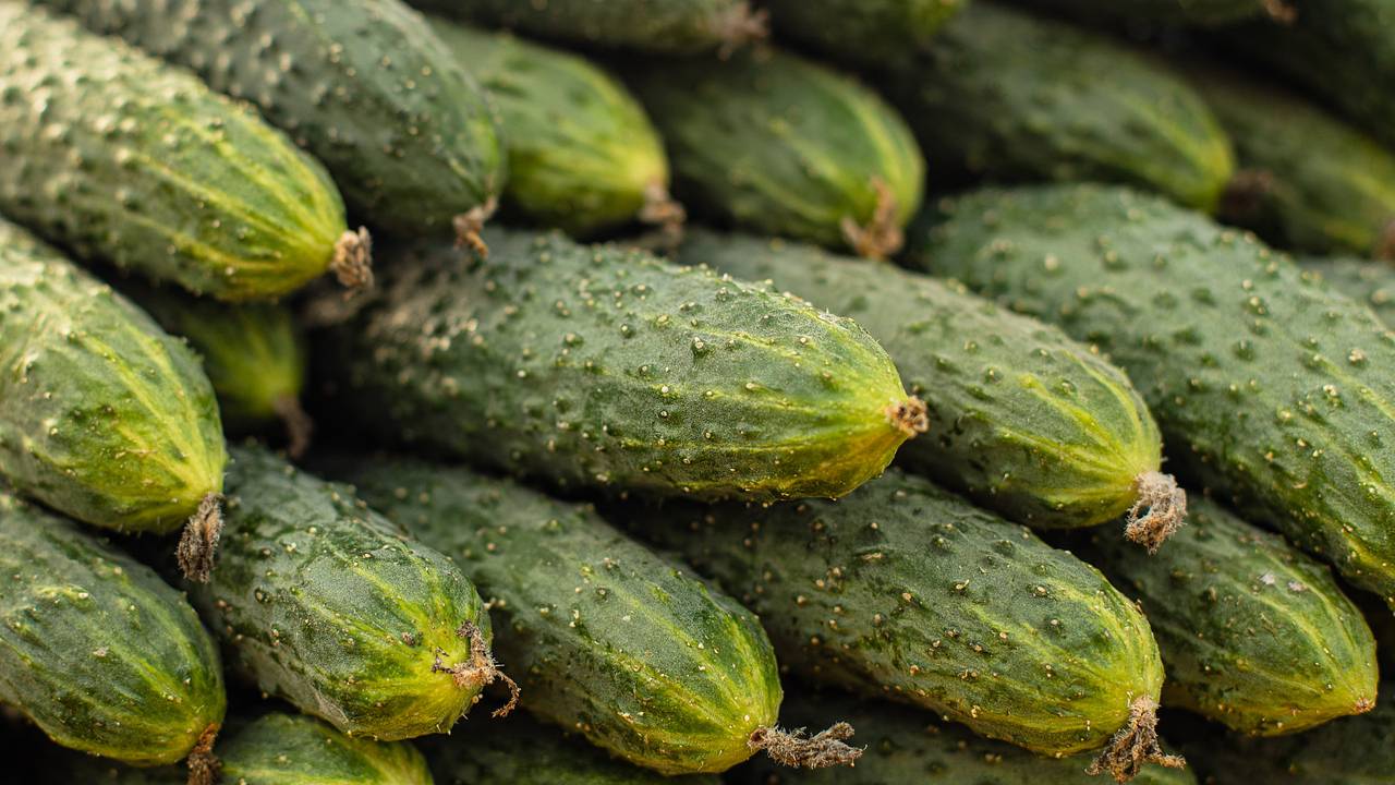 Назван самый подешевевший за месяц продукт