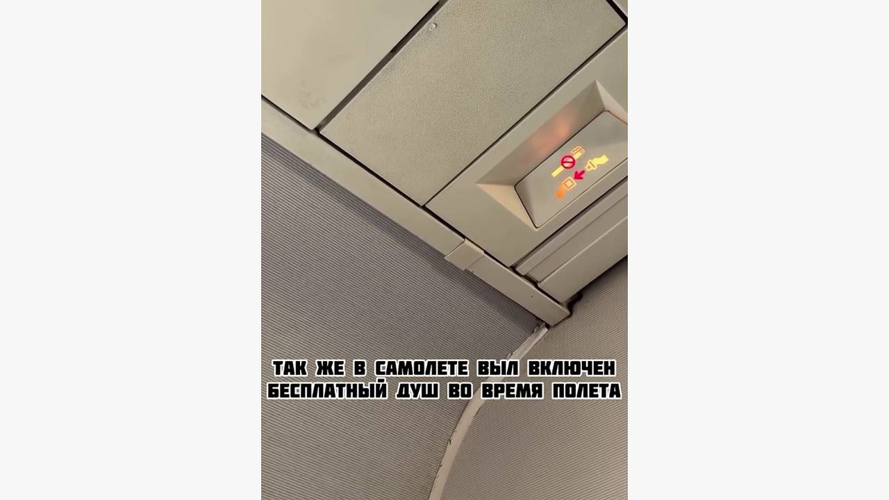 Самолет российской авиакомпании с капающей с потолка водой назвали «скотовозкой»