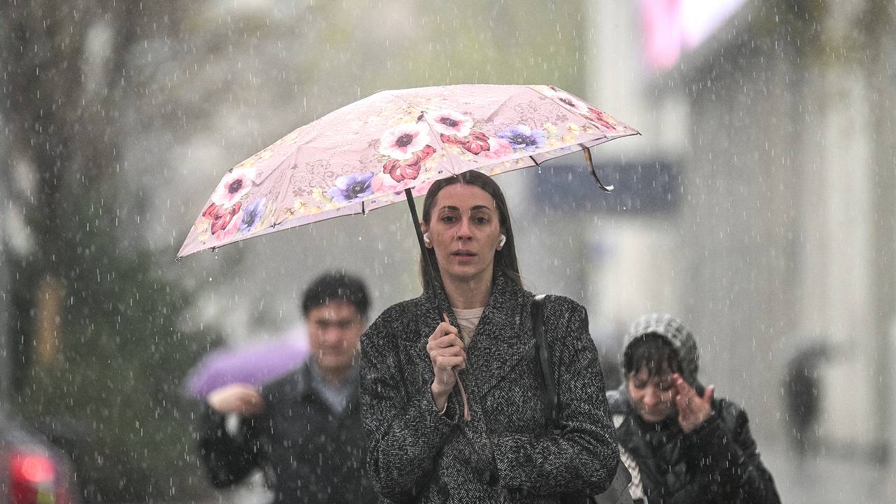 Москвичей предупредили о грозе с дождем