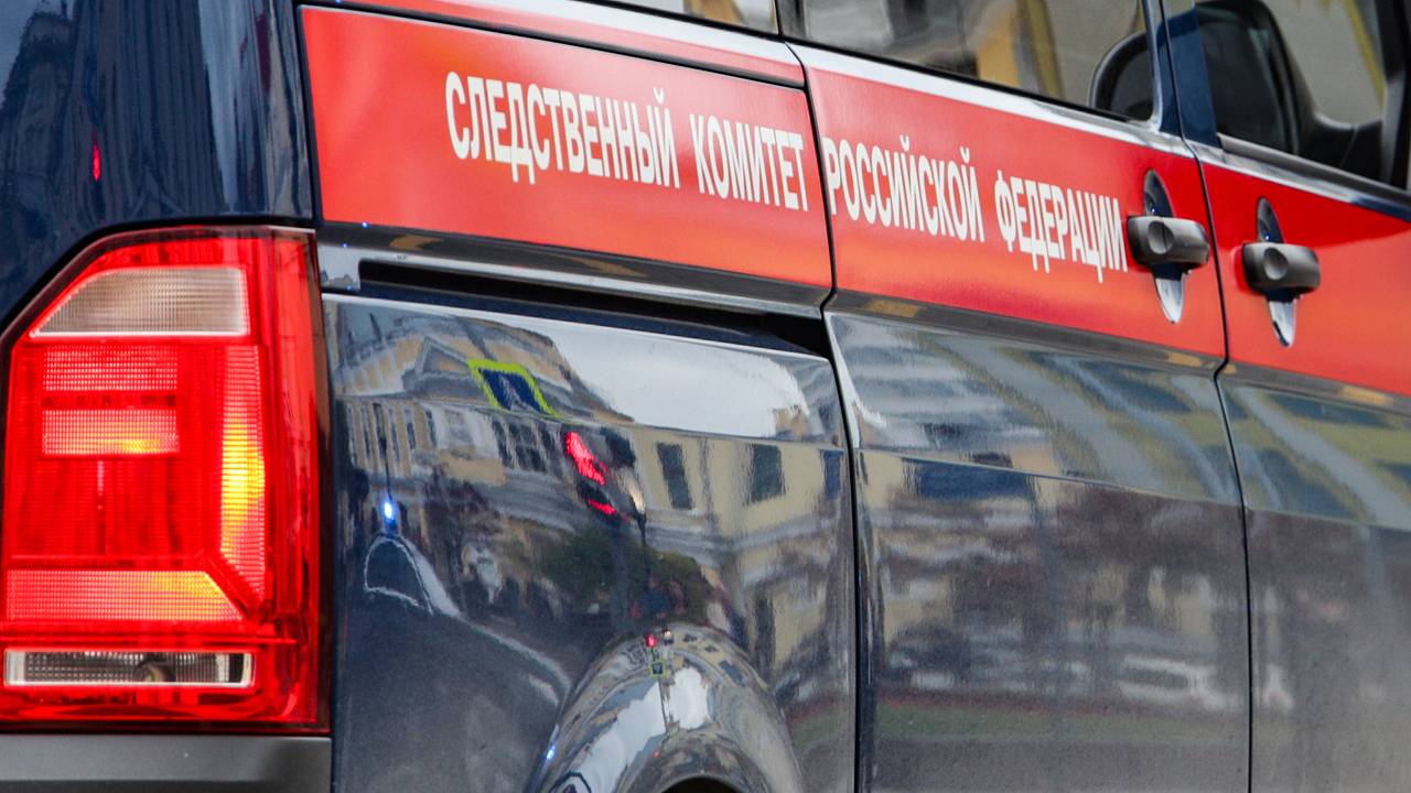 Следственный комитет отреагировал на побег детей из детского сада