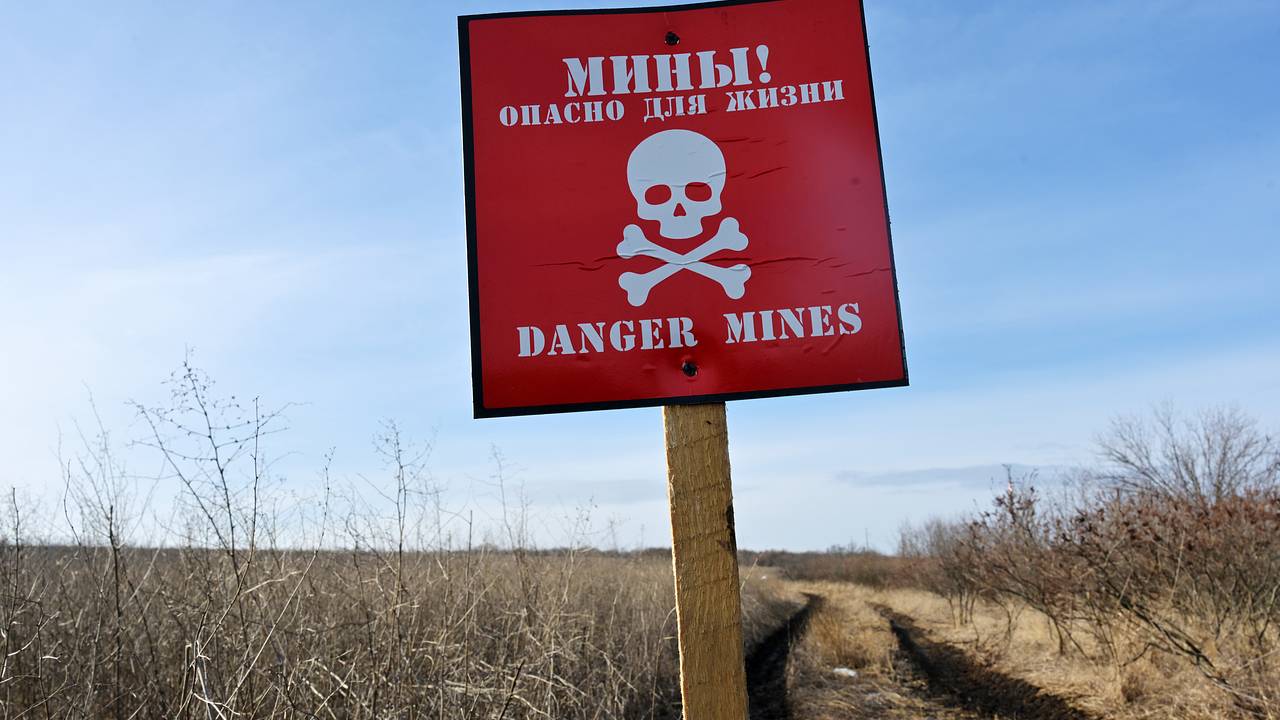 Еще одна страна захотела сделать минное поле на границе с Россией