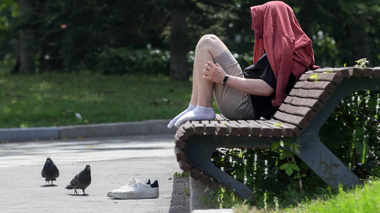 Метеозависимым москвичам пообещали благоприятную погоду