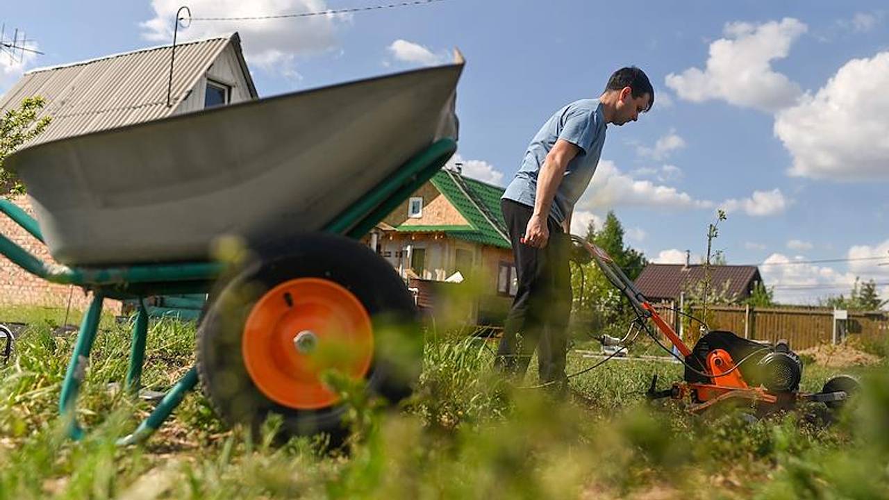 Россиянам назвали способ избавиться от сорняков без химикатов