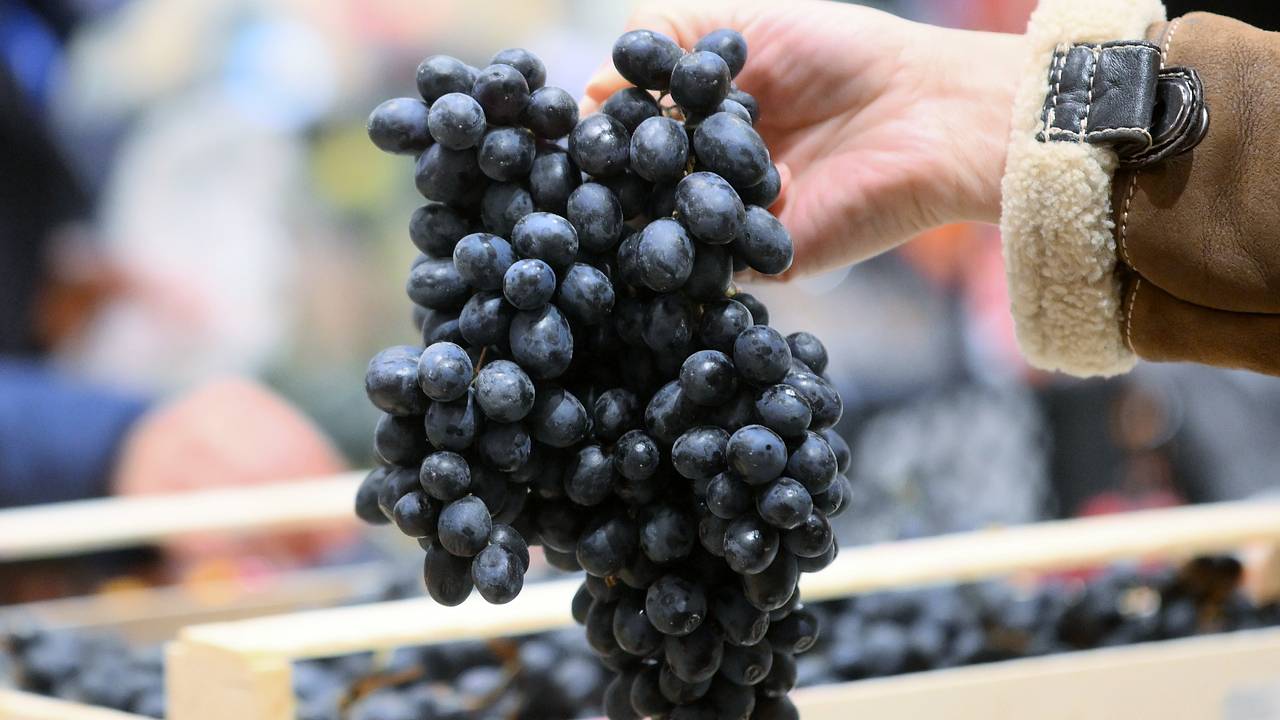 Перечислены способные улучшать работу мозга продукты