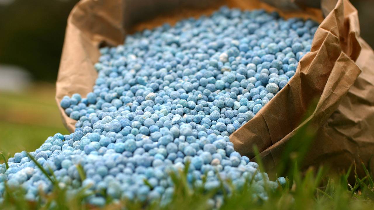 Ситуация с производством важнейших удобрений оказалась плачевной
