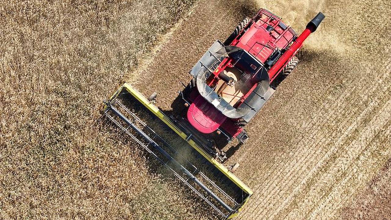 Россия резко нарастила выручку от продажи агропродукции за рубеж Россия резко нарастила выручку от продажи агропродукции за рубеж