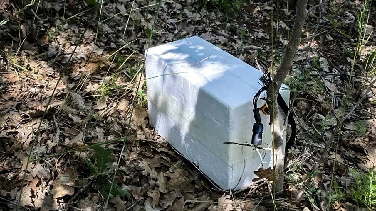 После атаки ВСУ на Севастополь нашли замаскированный контейнер со взрывчаткой После атаки ВСУ на Севастополь нашли замаскированный контейнер со взрывчаткой