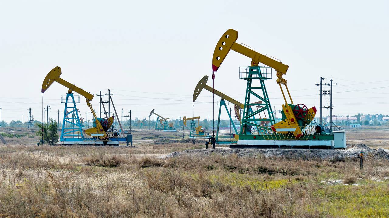 Союзник США купил сотни тысяч баррелей российской нефти