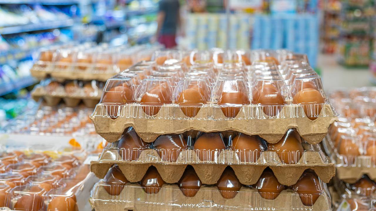 Россиянам рассказали о регионах с самыми высокими и самыми низкими ценами на яйца