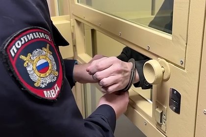 Арестован пытавшийся изнасиловать пятилетнюю девочку в российском городе мужчина