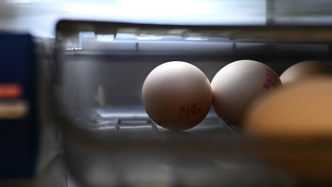 Россиянам раскрыли главную ошибку при хранении продуктов в холодильнике