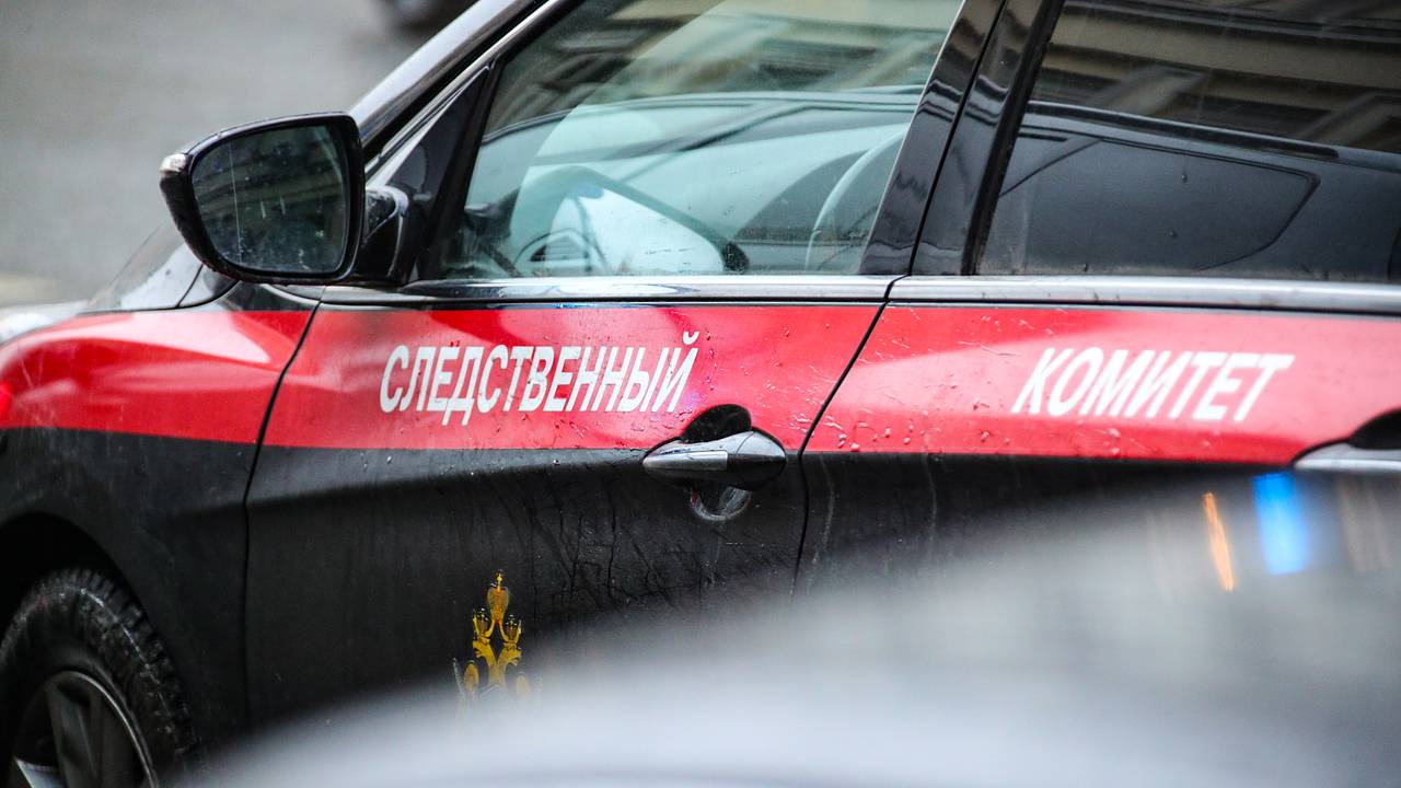 Россиянка попала под следствие за сорванный плакат