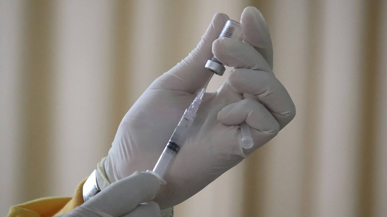 Названы сроки появления первой российской вакцины от аллергии на пыльцу березы