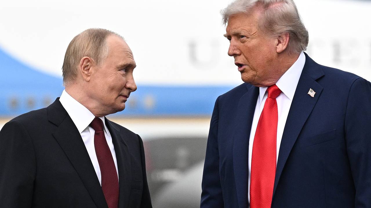 В Индии раскрыли дипломатическое преимущество Путина перед Трампом