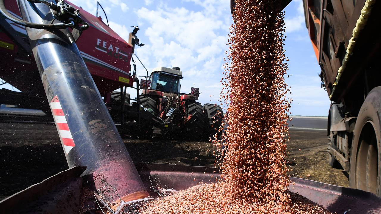 Россия резко нарастила поставки агропродукции в один регион мира Россия резко нарастила поставки агропродукции в один регион мира