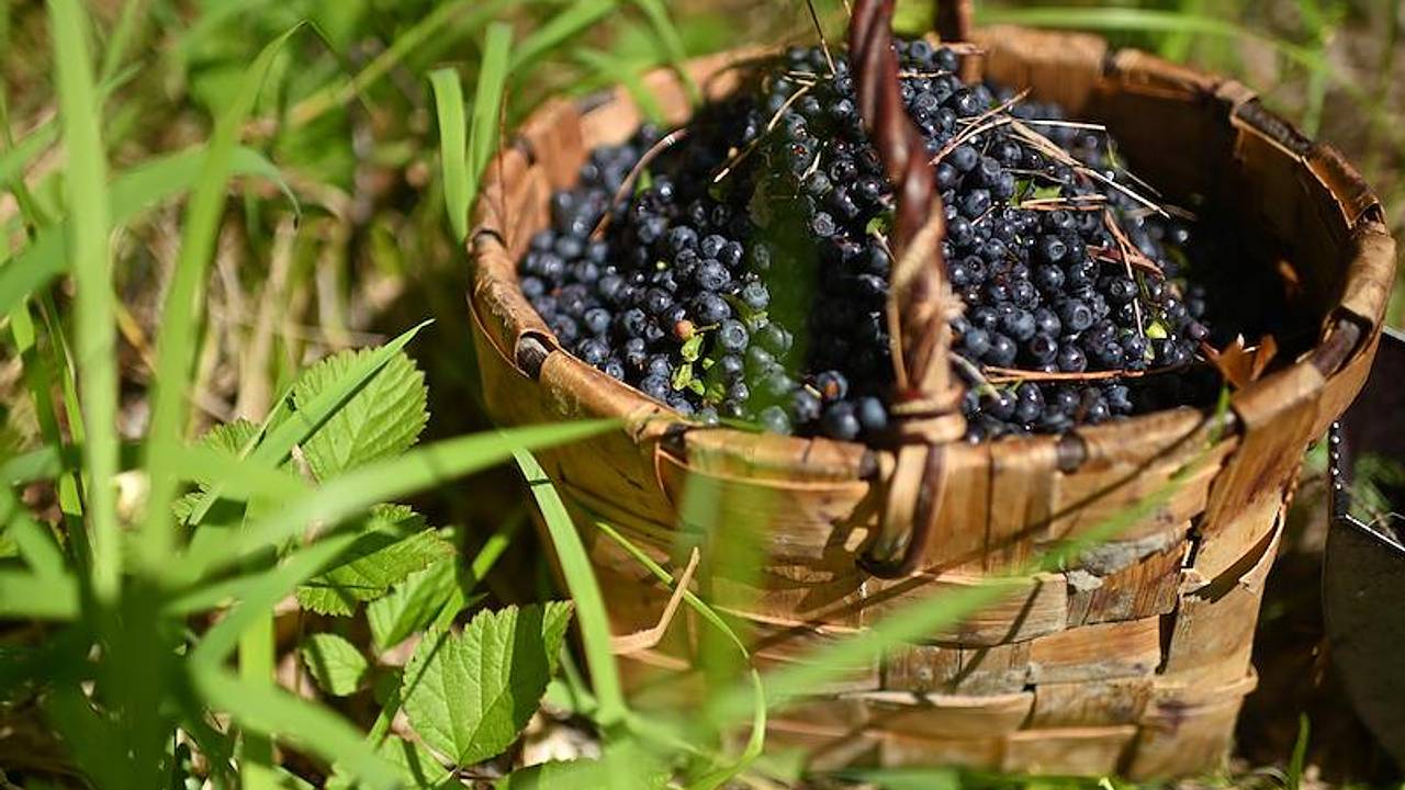 Перечислены особенно полезные для сердца продукты