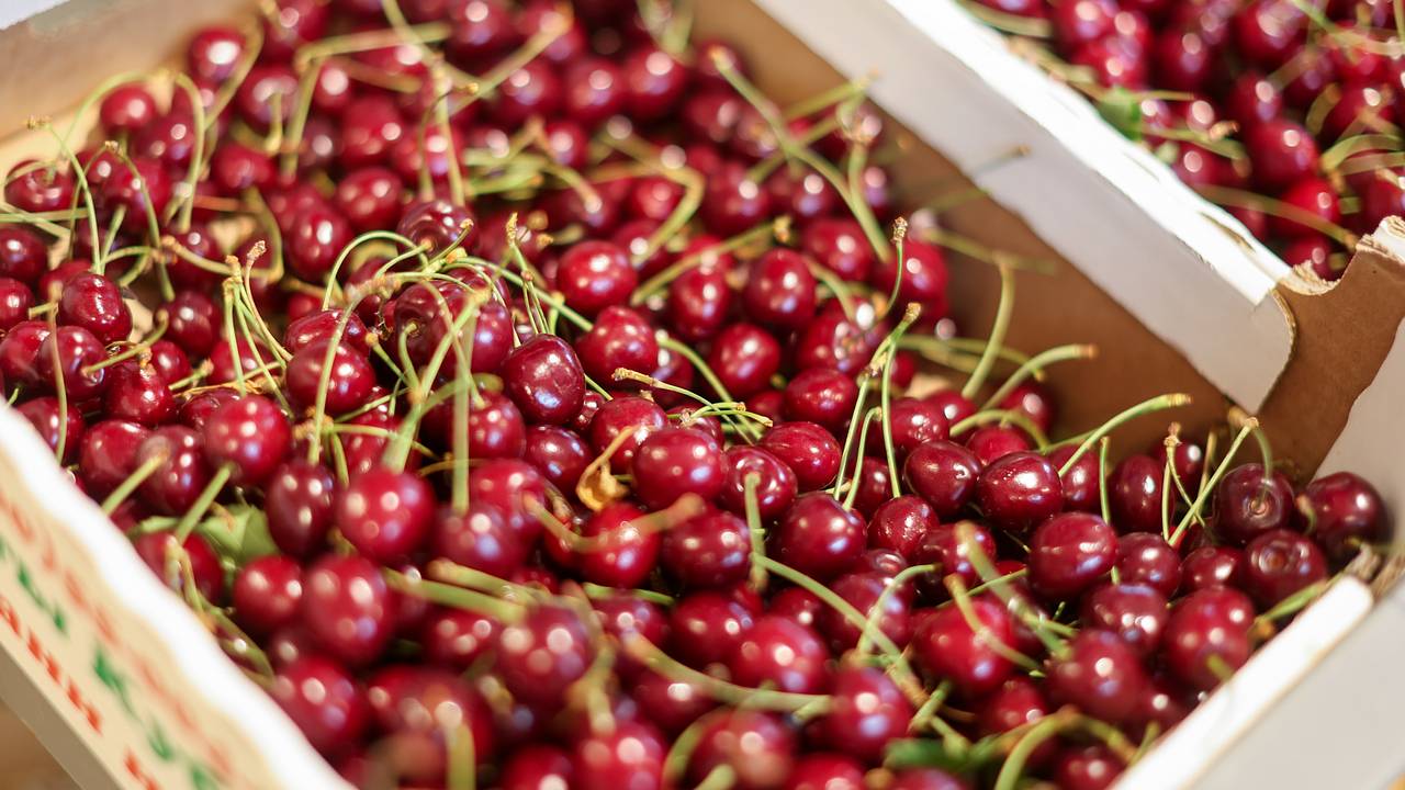 В России подешевела черешня В России подешевела черешня