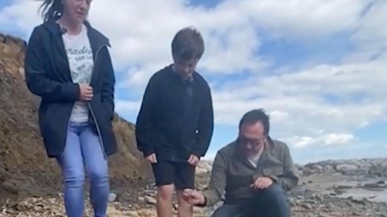 11-летний мальчик нашел на пляже зуб древнего слона
