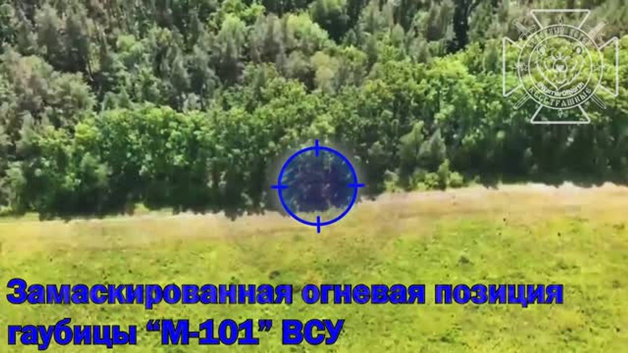 Зачистку лесного массива в Волчанском районе бойцами ВС России сняли на видео