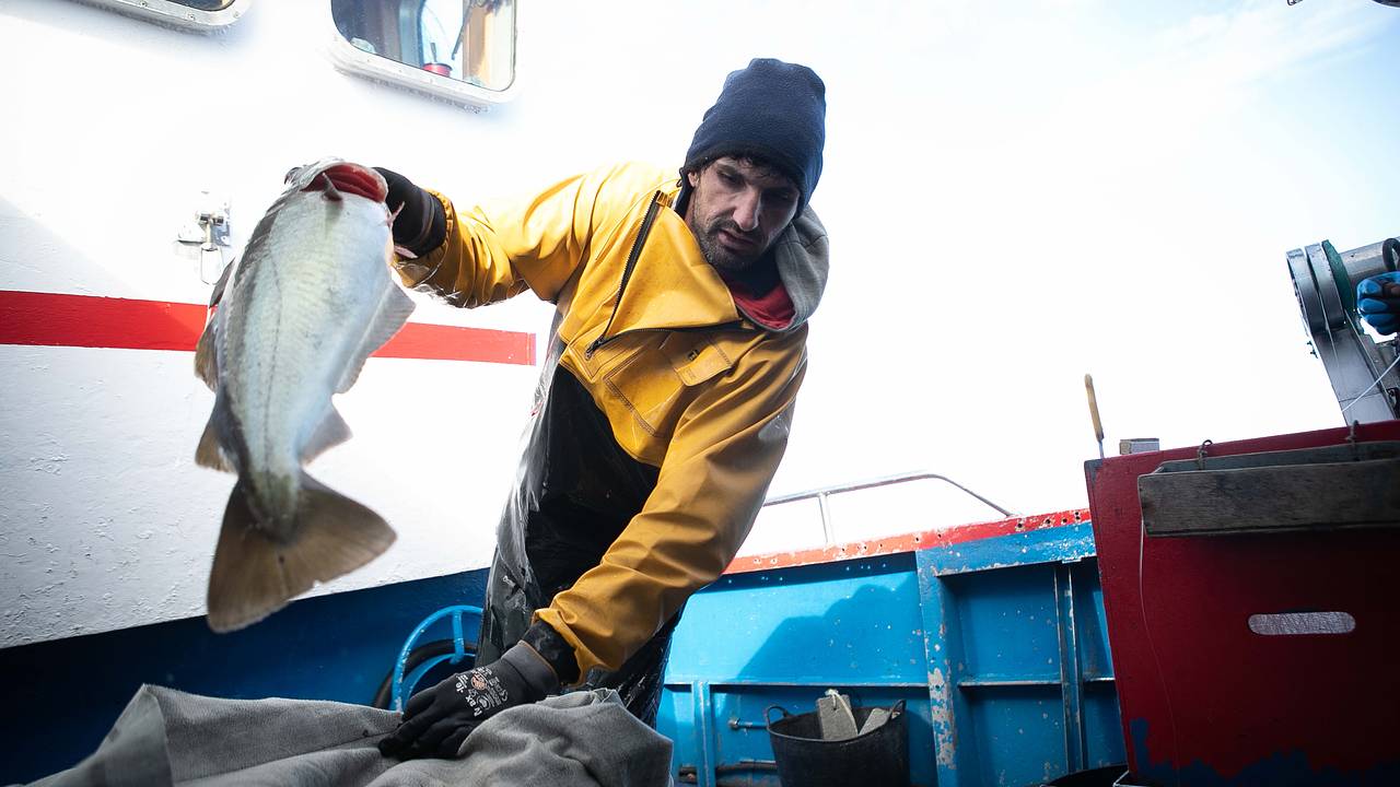 Россия оказалась лидером по поставкам одного вида продукции в Европу