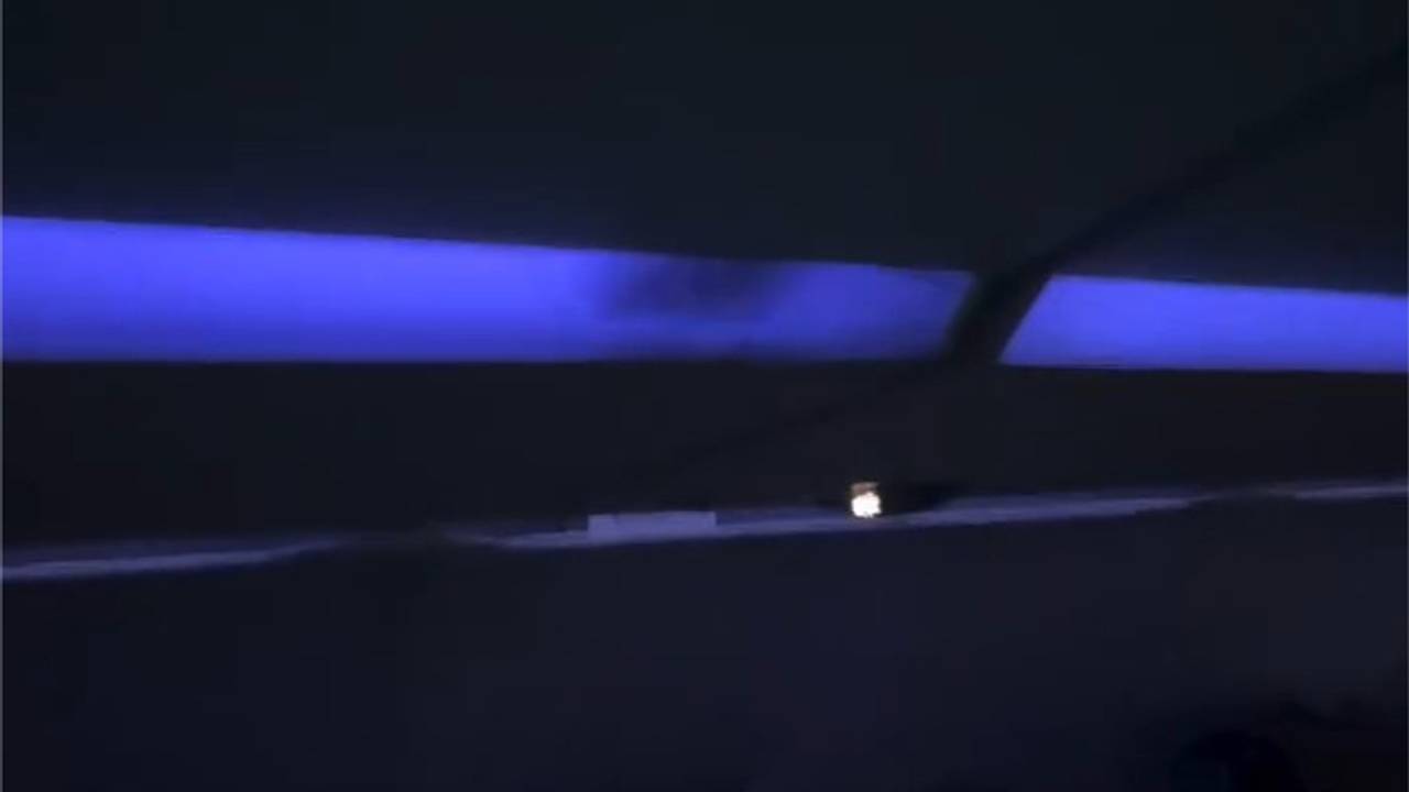 Крыса залезла в отсек с ручной кладью в самолете и попала на видео