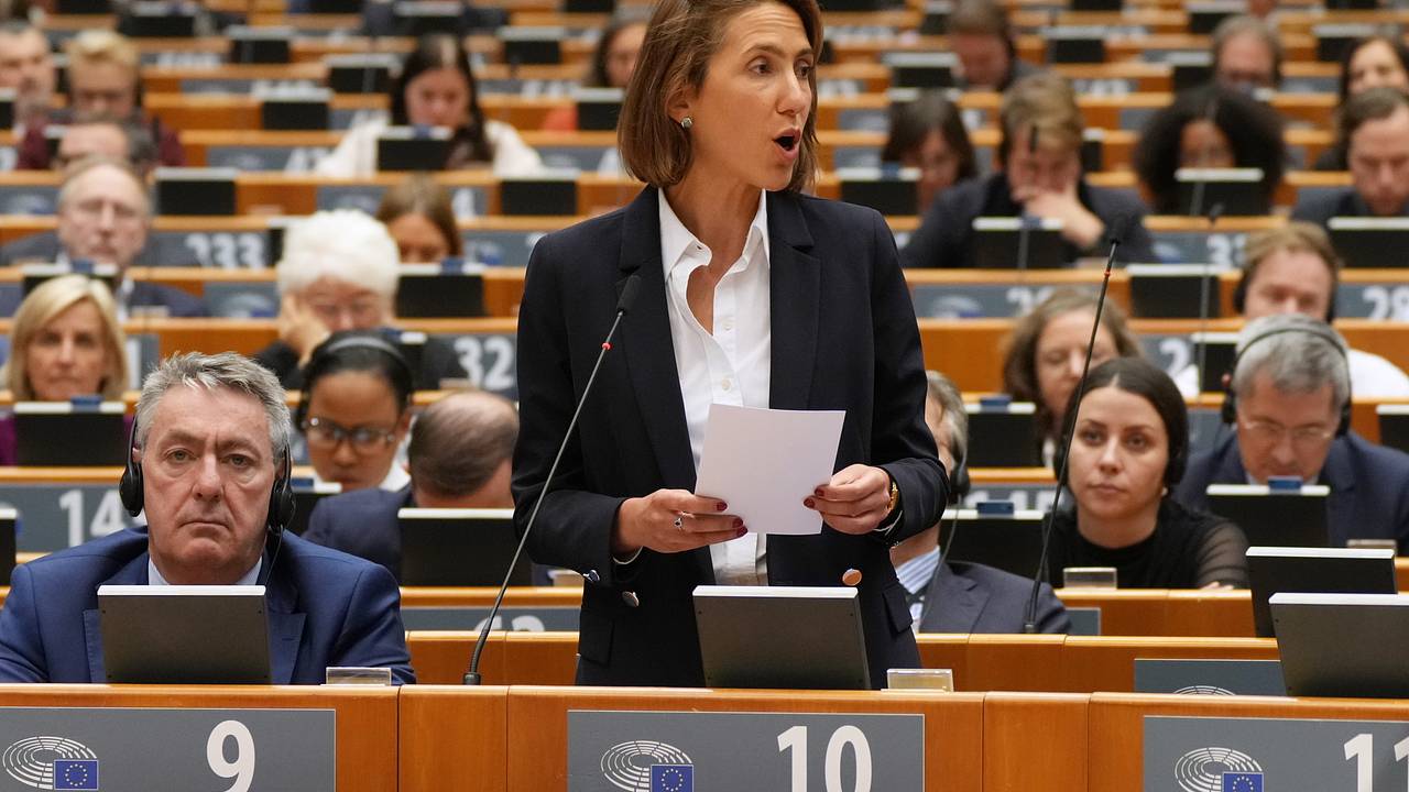 В Европарламенте разгорелся расистский скандал
