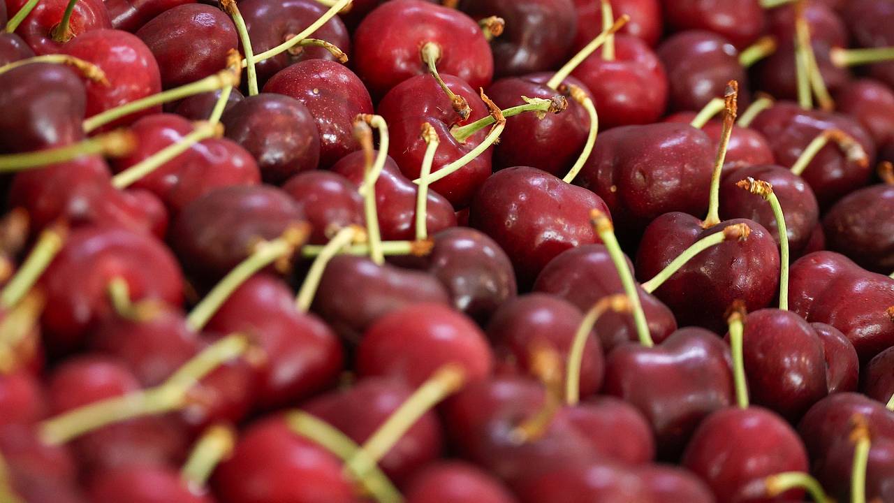 Россиян предупредили о риске диареи из-за летней ягоды Россиян предупредили о риске диареи из-за летней ягоды