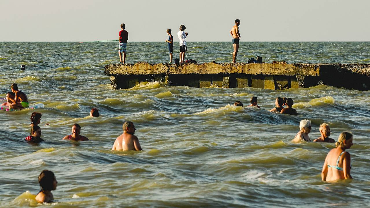 Отдыхающие на российском курорте пострадали от морских блох