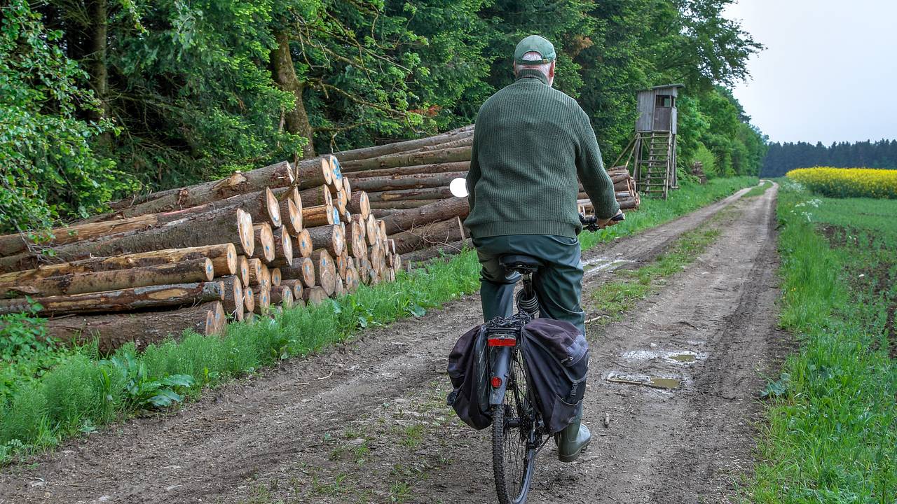 Сделки с недвижимостью онлайн, новое требование при переводах через СБП и защита от мошенников. Что изменится в России с 1 июля?