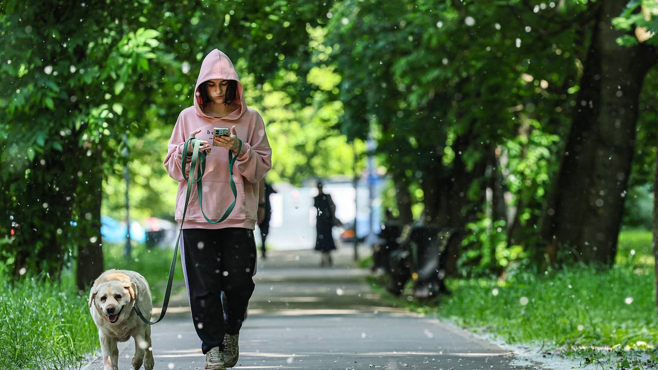 Известный журналист предрек возвращение в Россию уехавших артистов
