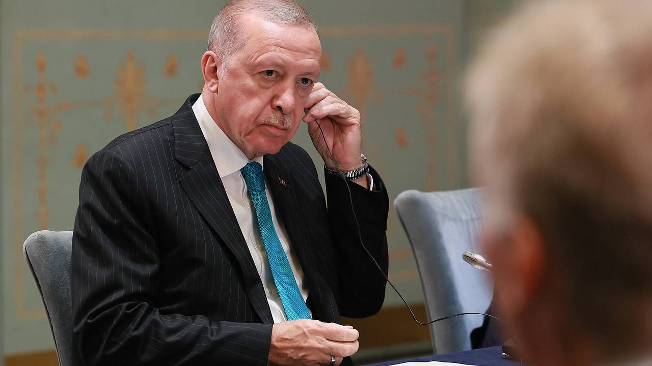 Эрдоган выступил с призывом по Украине