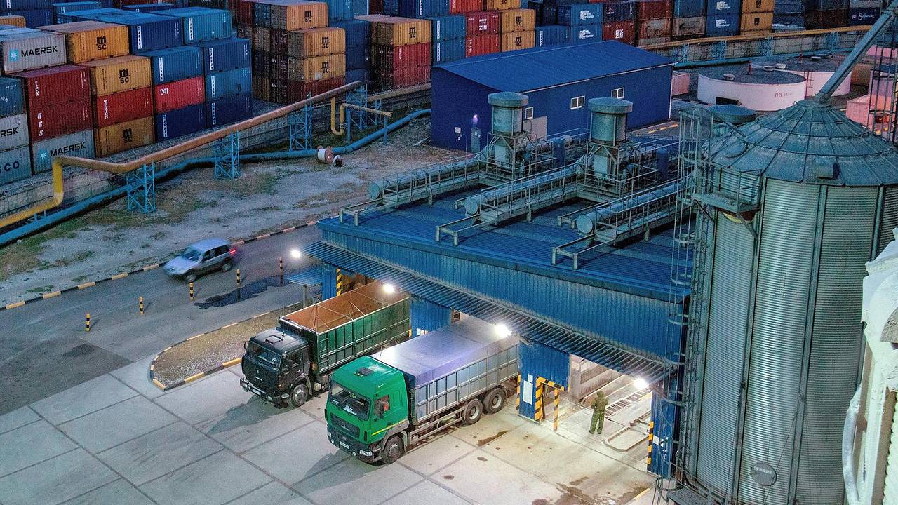 России спрогнозировали рост вывоза ключевой агрокультуры