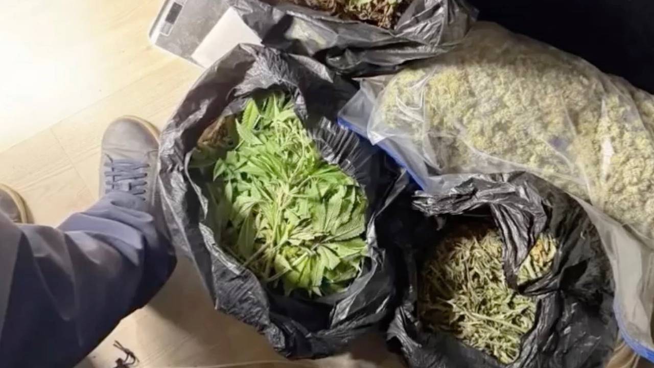 В съемных квартирах россиянина полиция обнаружила десять килограммов особого урожая