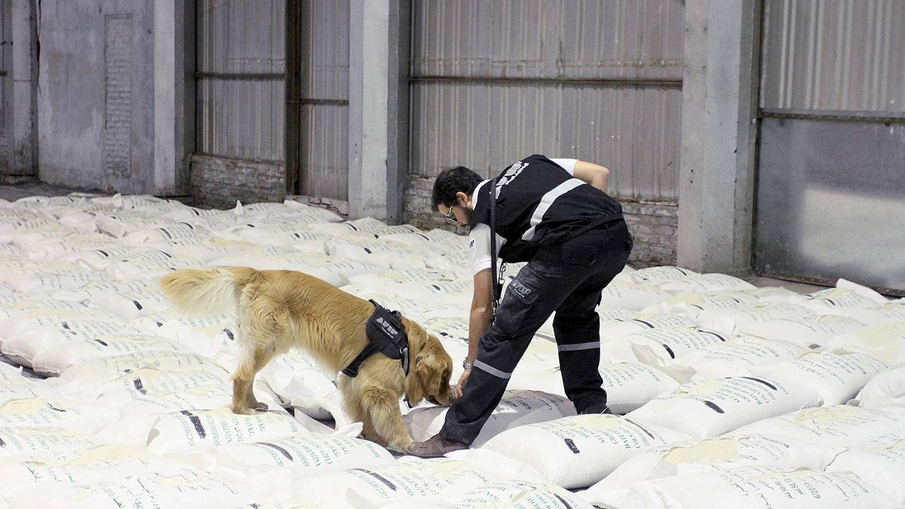 Моряк из России заподозрил наркокартель в использовании его багажа для транзита наркотиков
