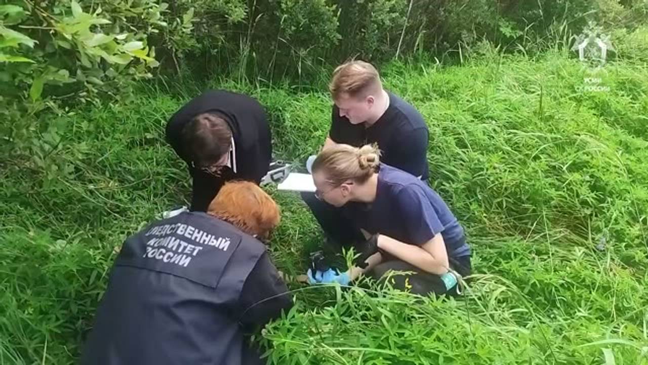Появились кадры с места убийства отправившейся за грибами 12-летней девочки в Ленобласти