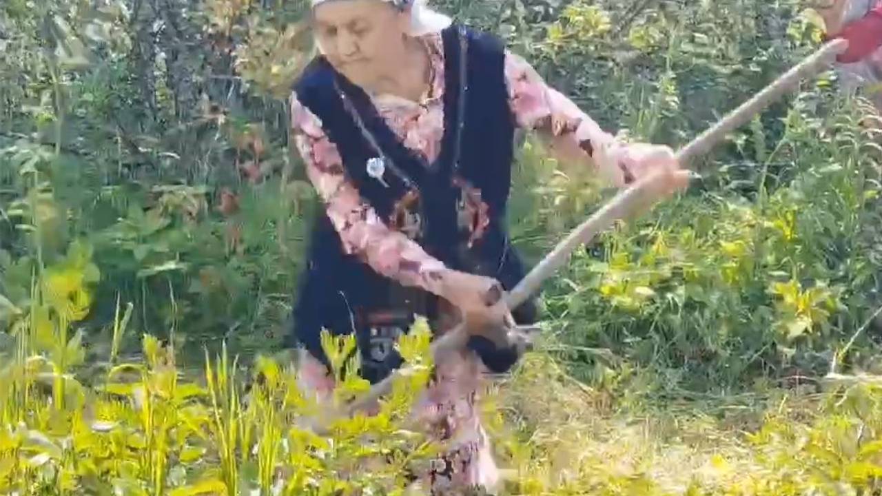 91-летняя звезда соревнования косарей попала на видео 91-летняя звезда соревнования косарей попала на видео
